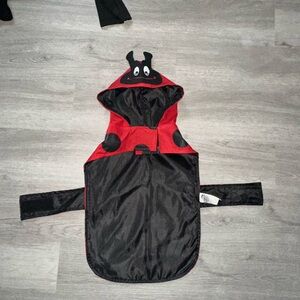 Red and Black Ladybug Dog raincoat